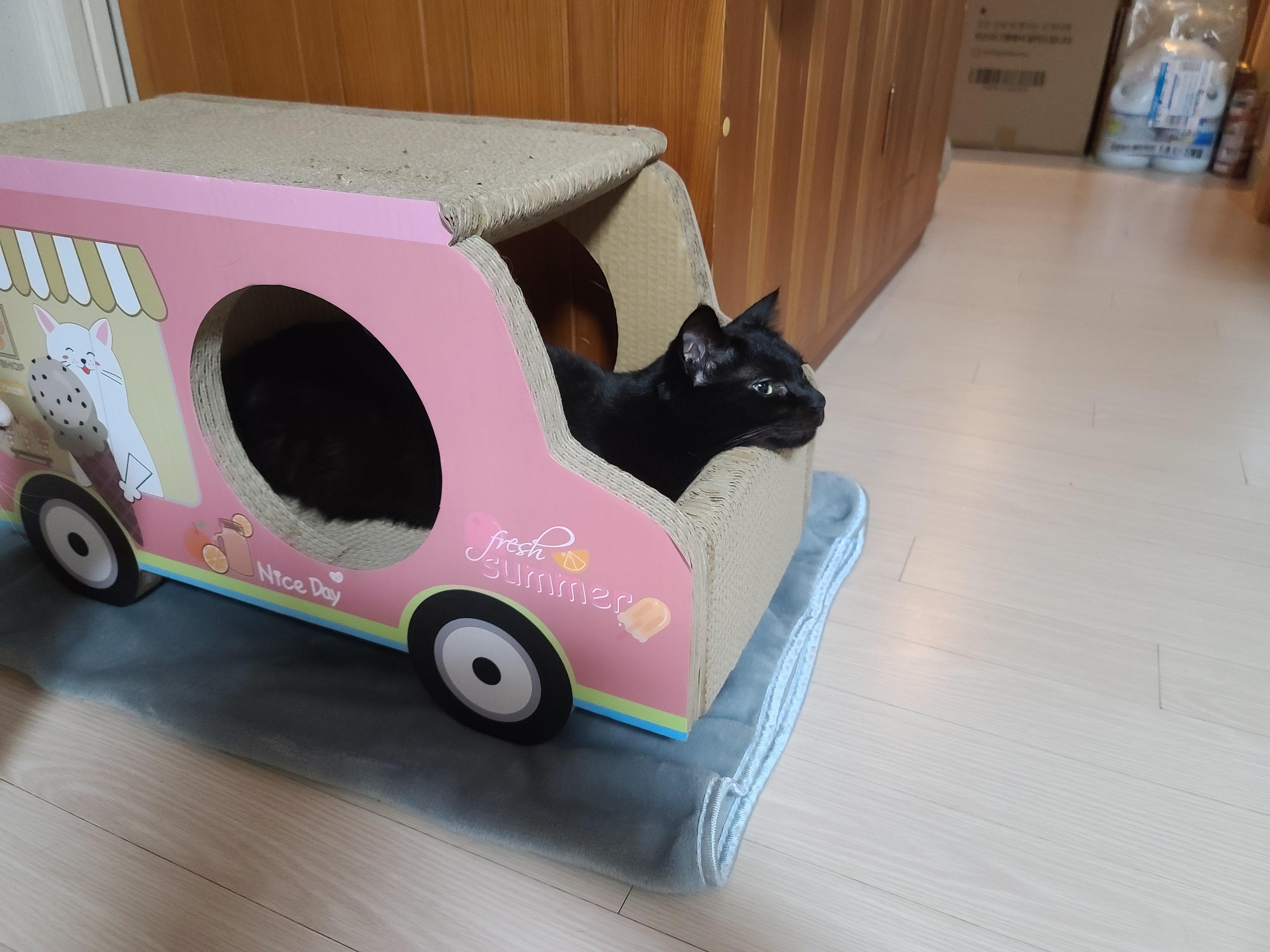 건이가 어딘가에 들어가 있는 사진 모음 (feat. 호야)