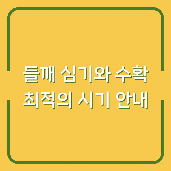 들깨 심기와 수확 최적의 시기 안내