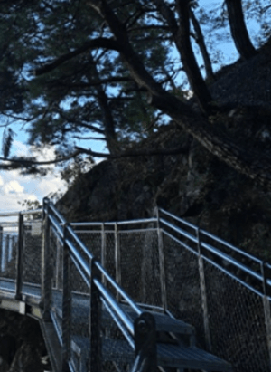 원주 소금산 케이블카 요금