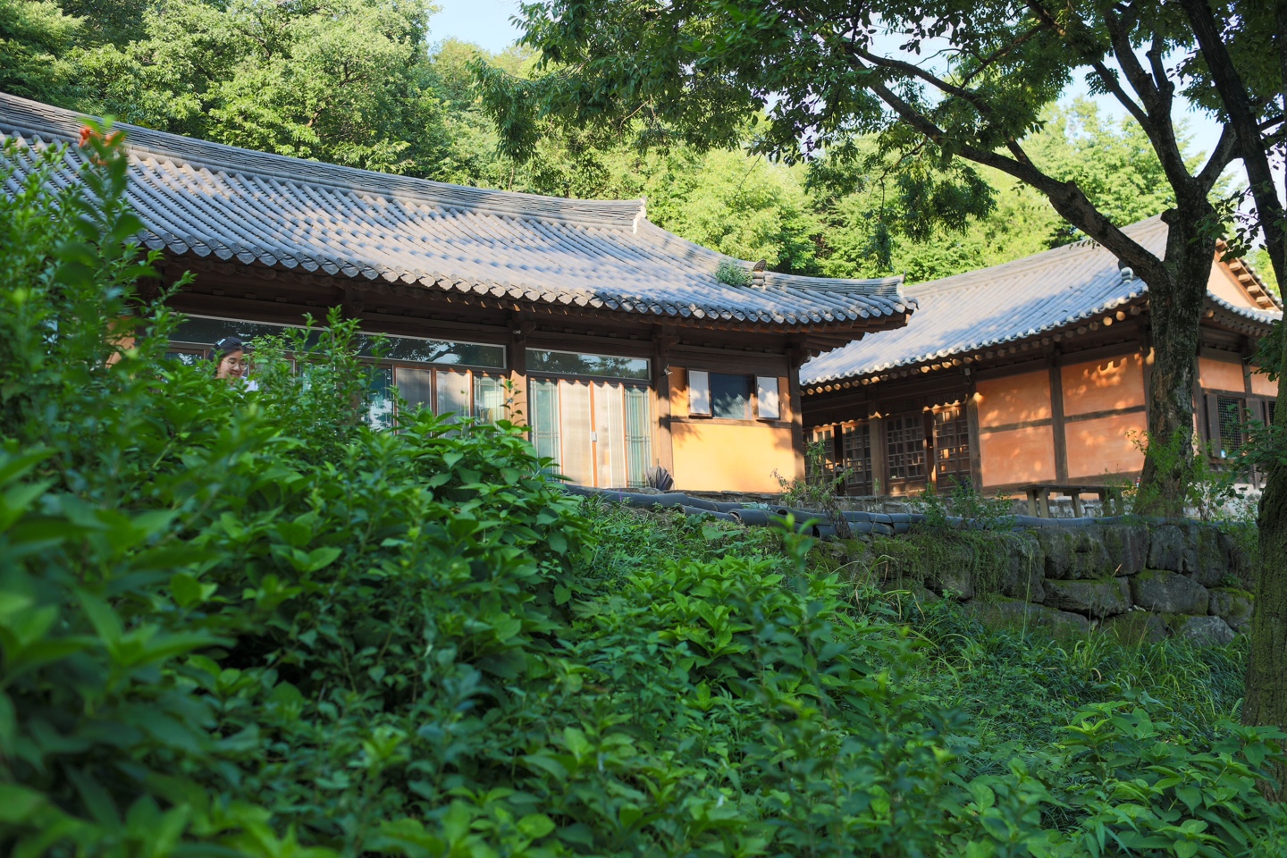 도피안사