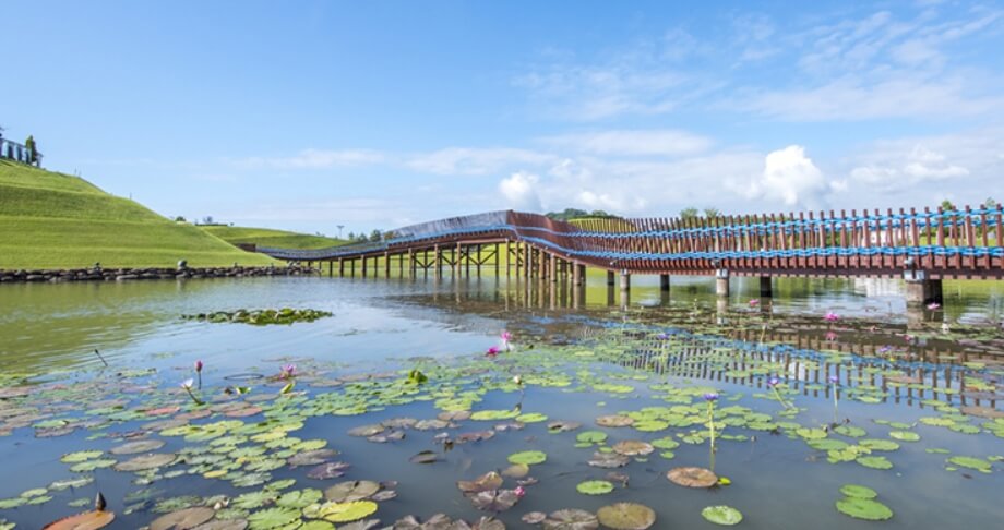 순천만국가정원(2)