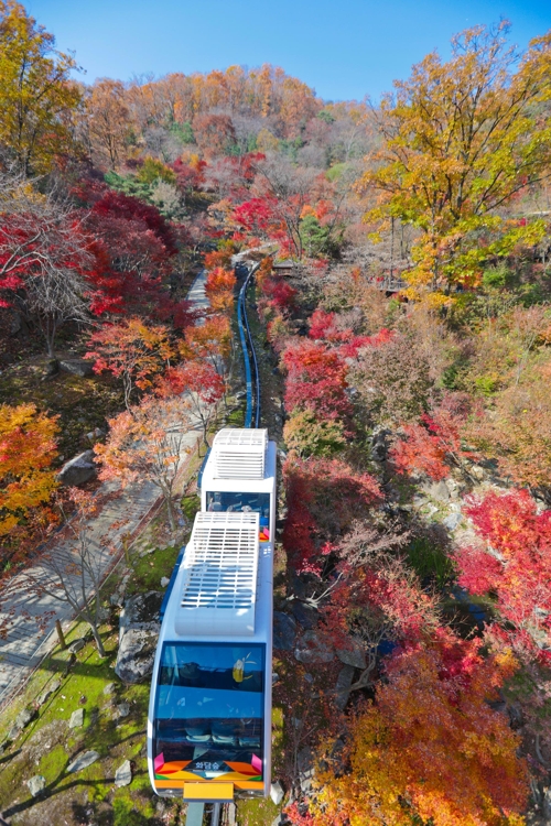 화담숲 모노레일 예약 방법