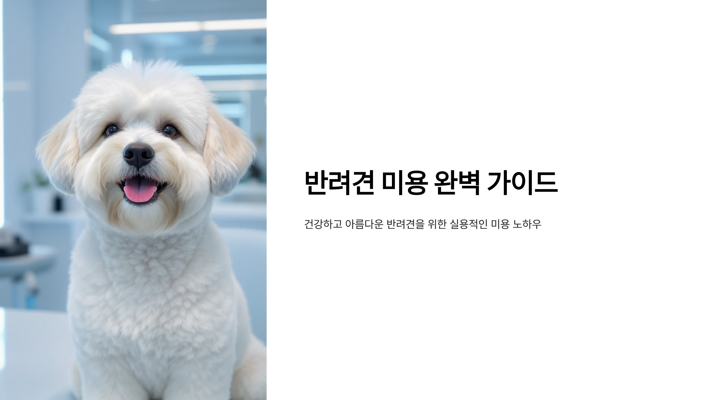 프리미엄 반려견 미용 완벽 마스터하기