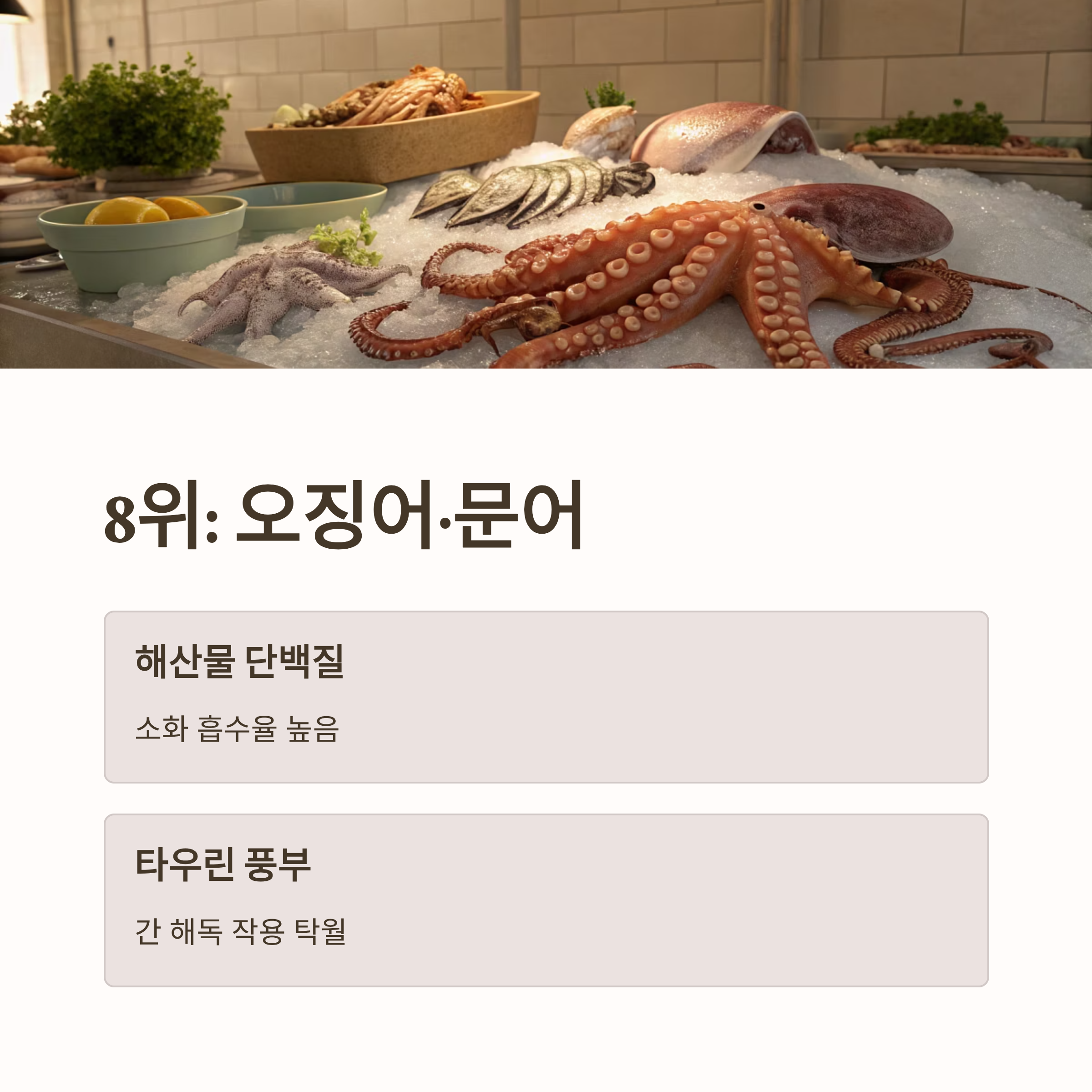 알부민 많은 음식 10가지|간 건강·면역력·부종 개선에 좋은 고단백 식단 총정리