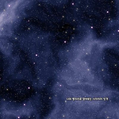 나의 별자리로 알아보는 사자자리 성격