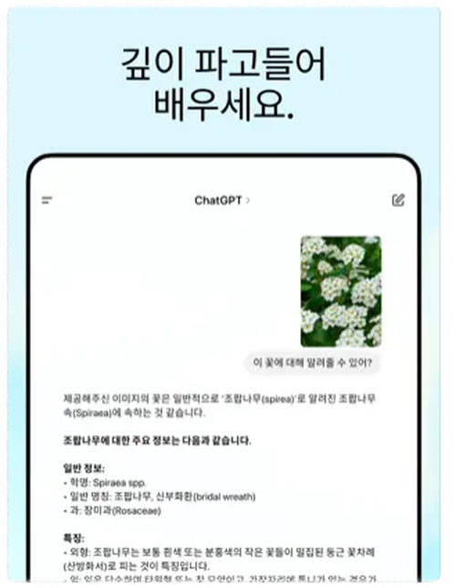 쳇gpt 특징 안내