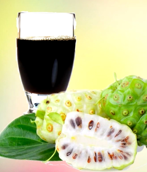 노니 효능 부작용