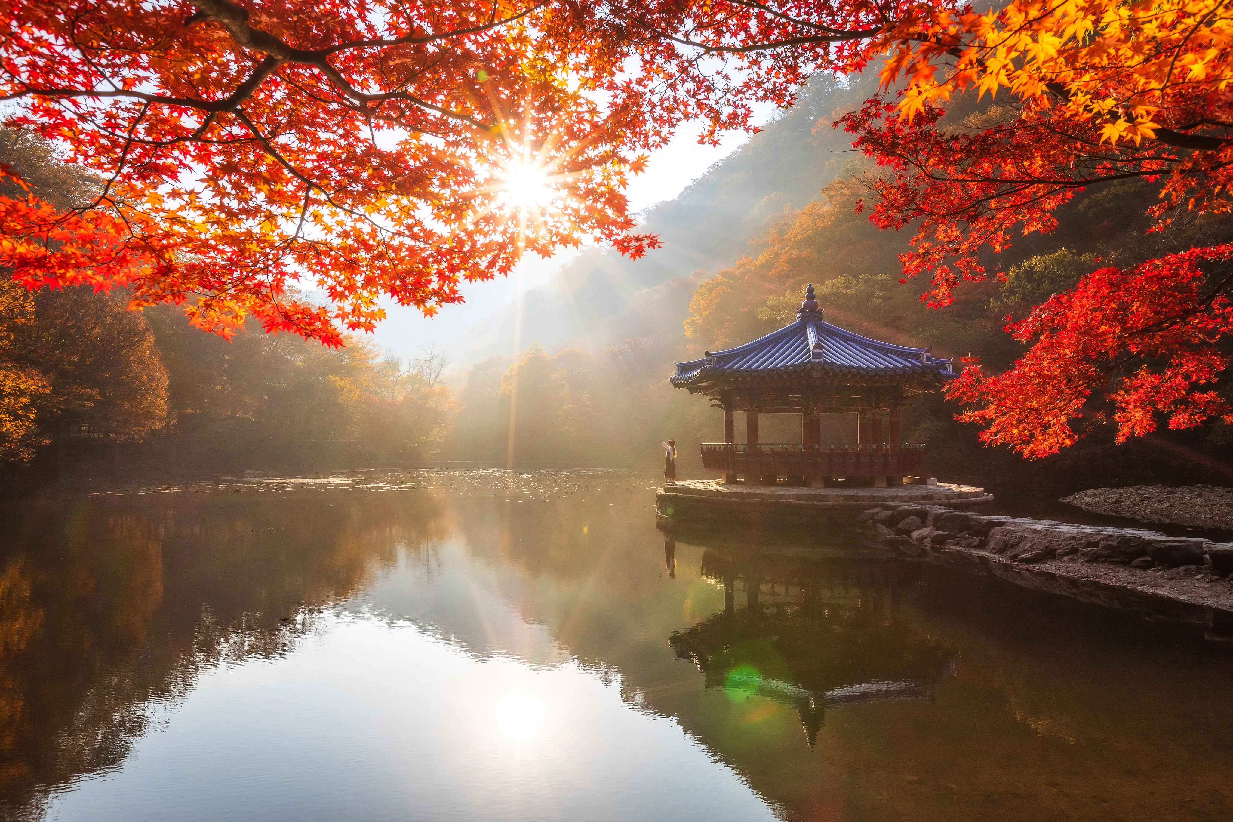 아침 우화정의 모습 빛과 단풍