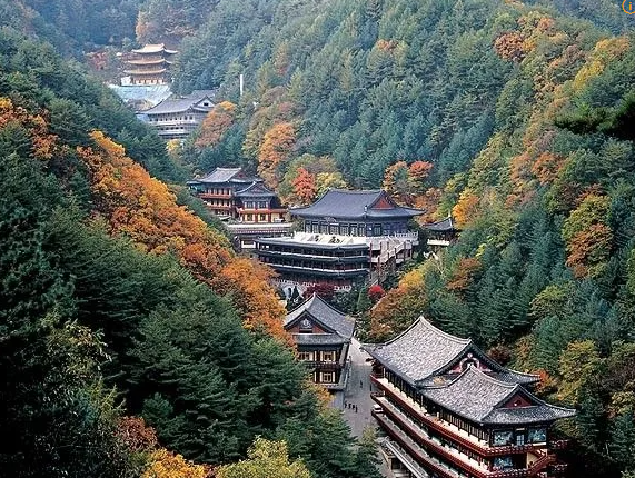 단양 만천하스카이워크