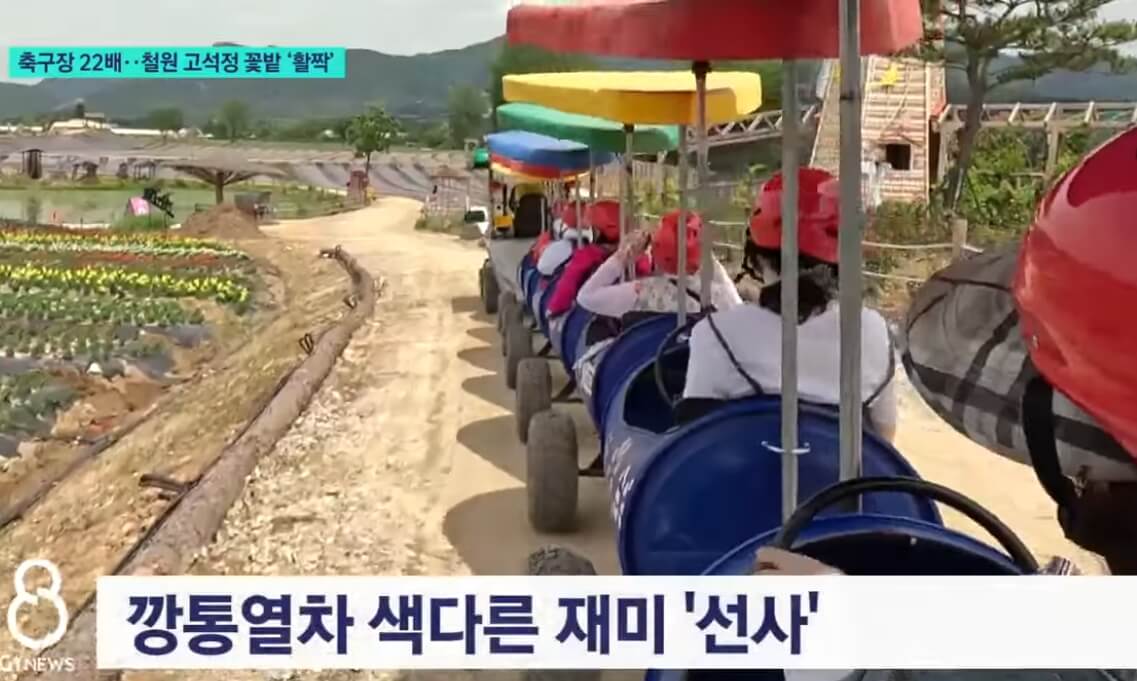 드론에서 본 고석정 꽃밭 전경