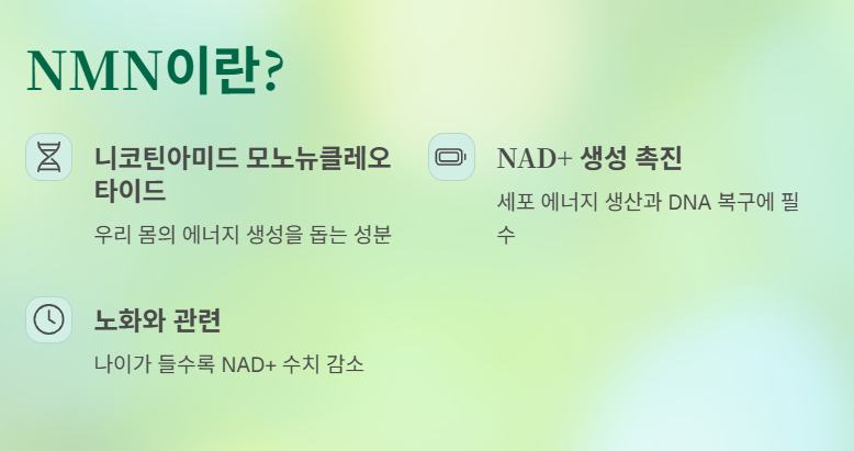 NMN이란?