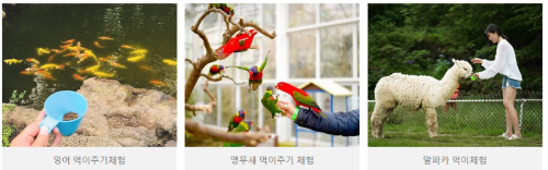 가을 여행