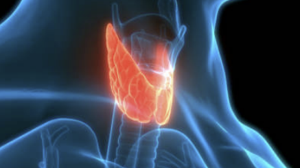 갑상선기능저하증증상좋은음식