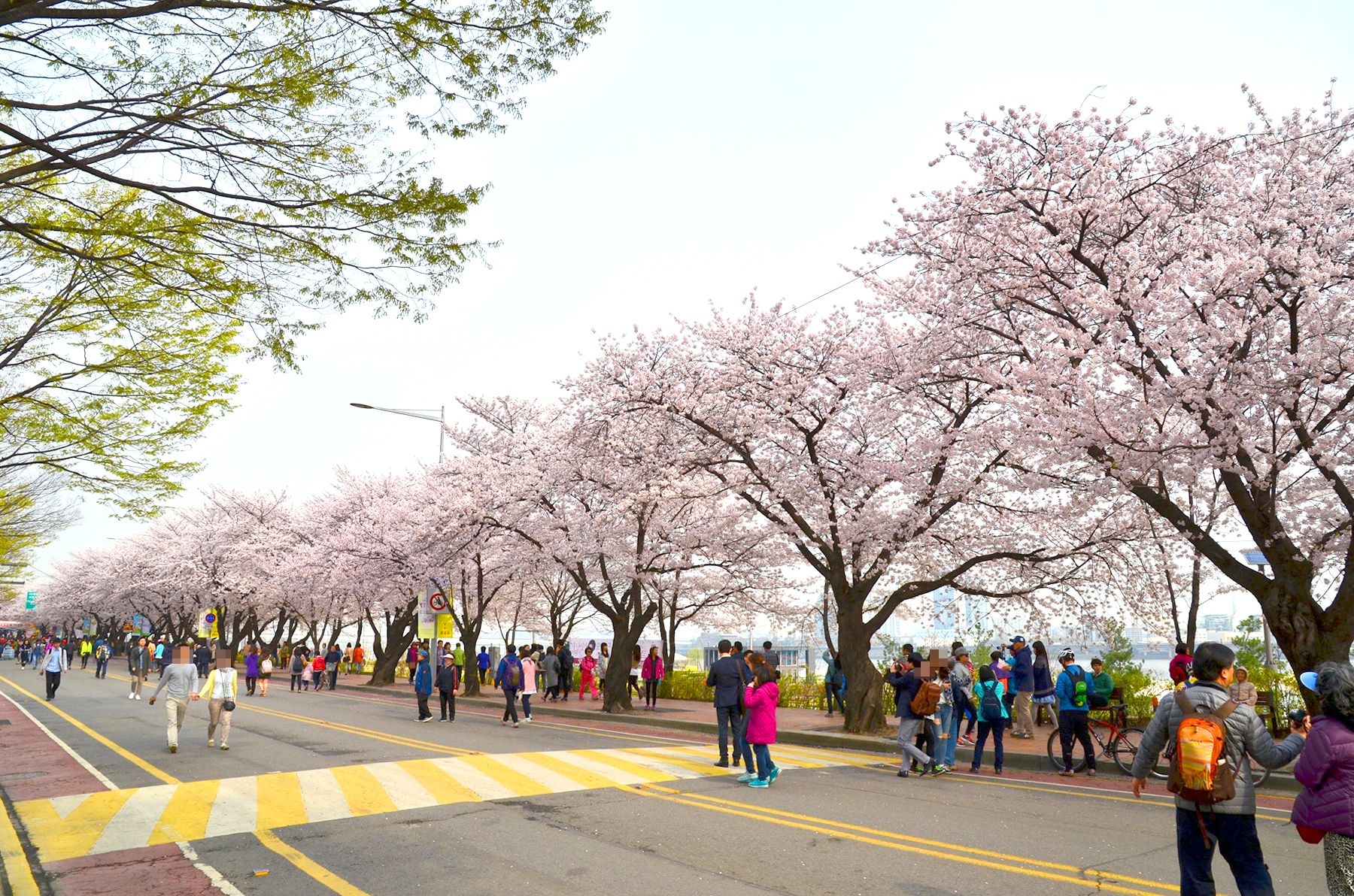 2025 전국 마라톤일정 총정리! 상반기부터 해외까지 한눈에