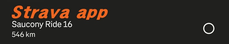 러닝화 달린거리_스트라바