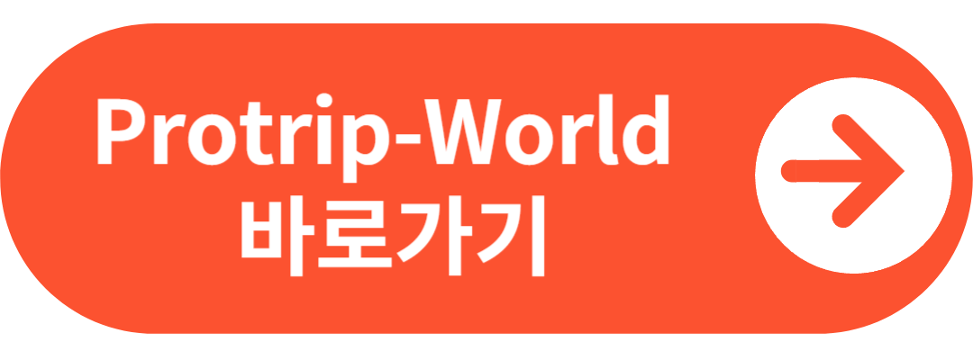 프로트립월드 해외여행자 보험