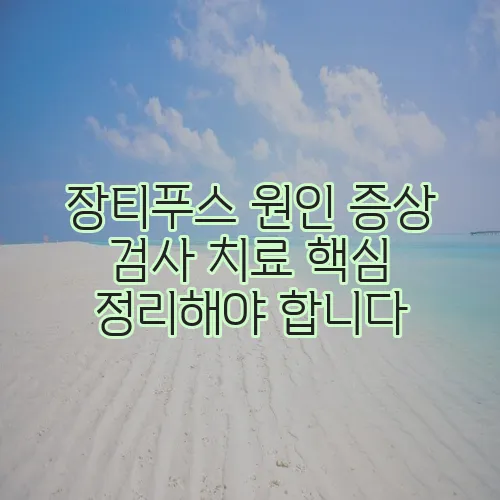 장티푸스 원인 증상 검사 치료 핵심 정리해야 합니다