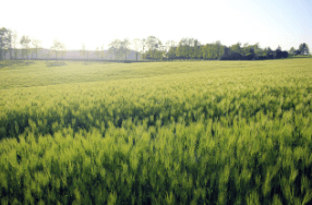 고창 학원 농장 입장료 총정리 관련사진