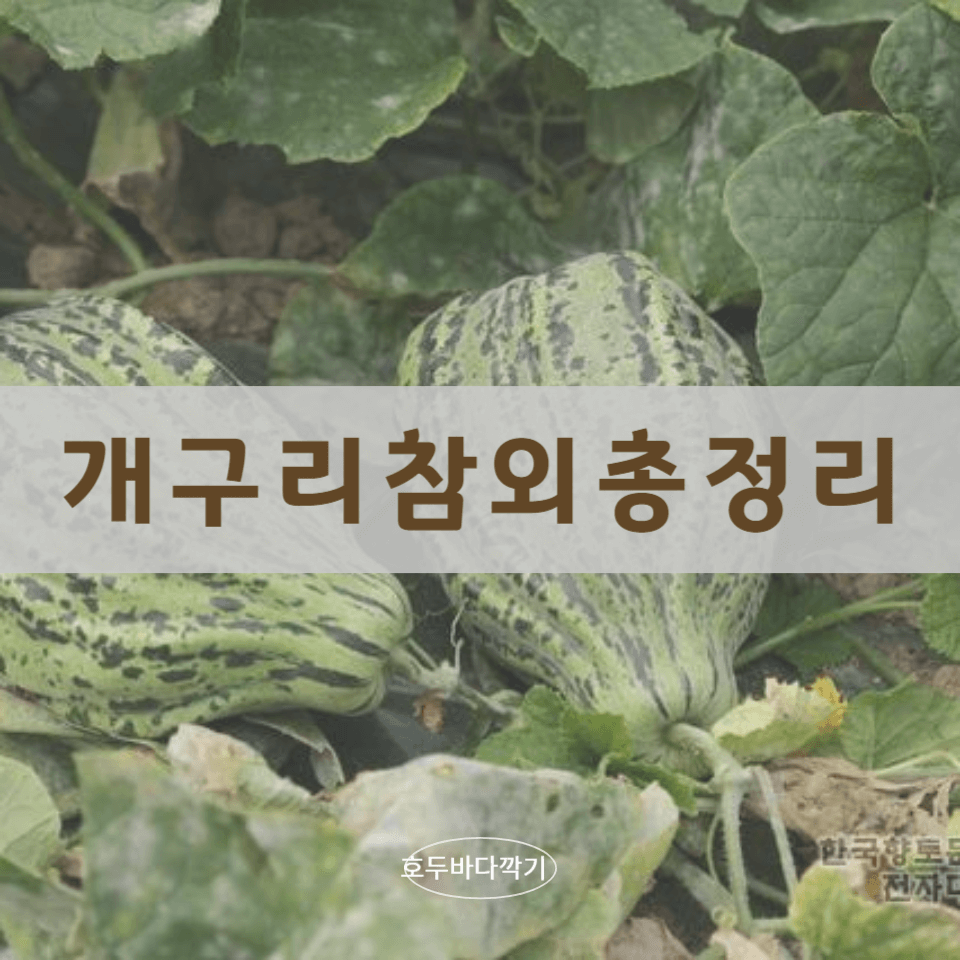 개구리-참외-효능에-대한-사진