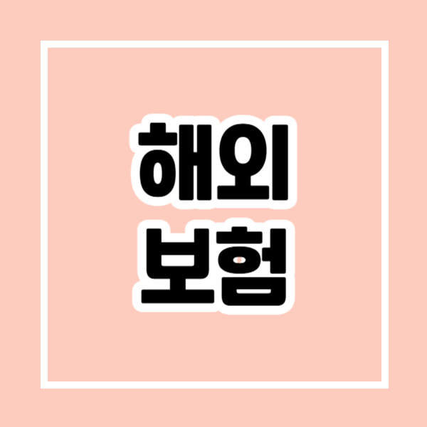 여행을 떠나기 전에 알아야 할 해외여행 보험 정보 관련 사진