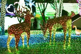 안산 별빛마을 애니멀 하트빌리지 빛축제