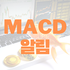 MACD 알림