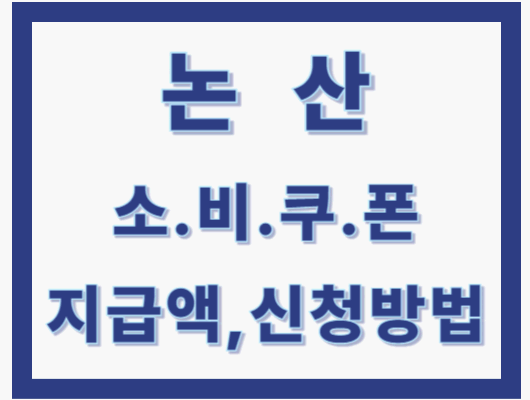 논산시 소비쿠폰