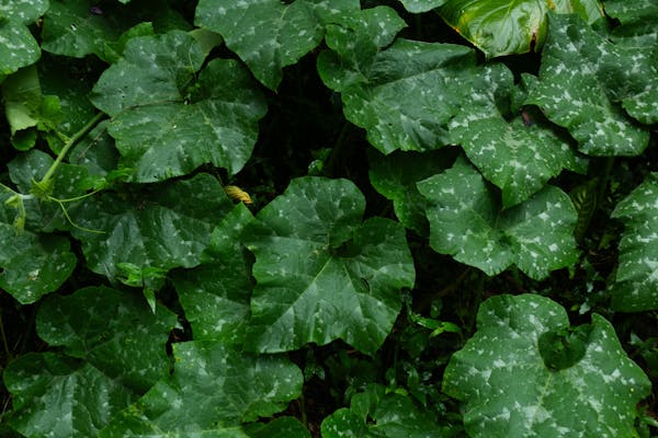 마음치유 사진9