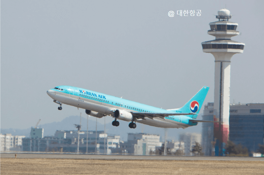 2025 오늘 출발 가능한 땡처리 항공권 실시간 조회 방법