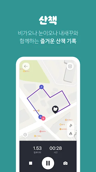 유기묘 새끼 고양이 무료 분양 어플 앱-26 유기묘 새끼 고양이 무료 분양 어플 앱-26