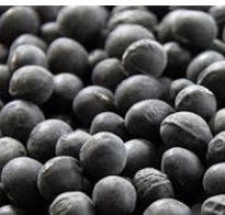 검은콩 효능