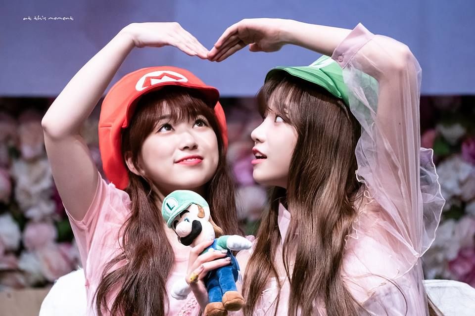 아이즈원 프로듀스48 사진 모음 아이즈원 프로듀스48 사진 모음