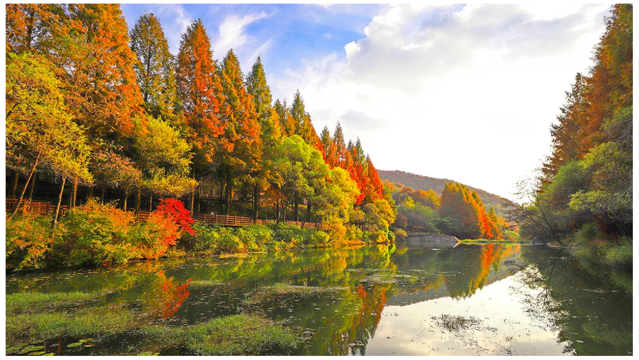 가을의 청주 미동산 수목원