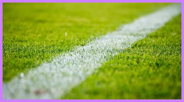 한국 쿠웨이트 축구 중계 바로보기