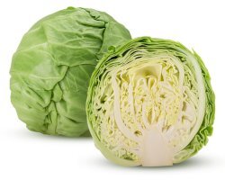 유방암에 좋은 음식