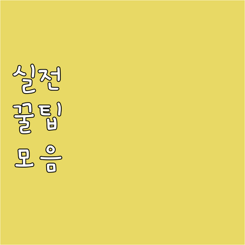 자동차 검사 완벽 준비: 온라인 예약..