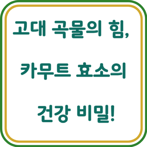 카무트 효소의 건강 효능 카무트 효소 섭취방법