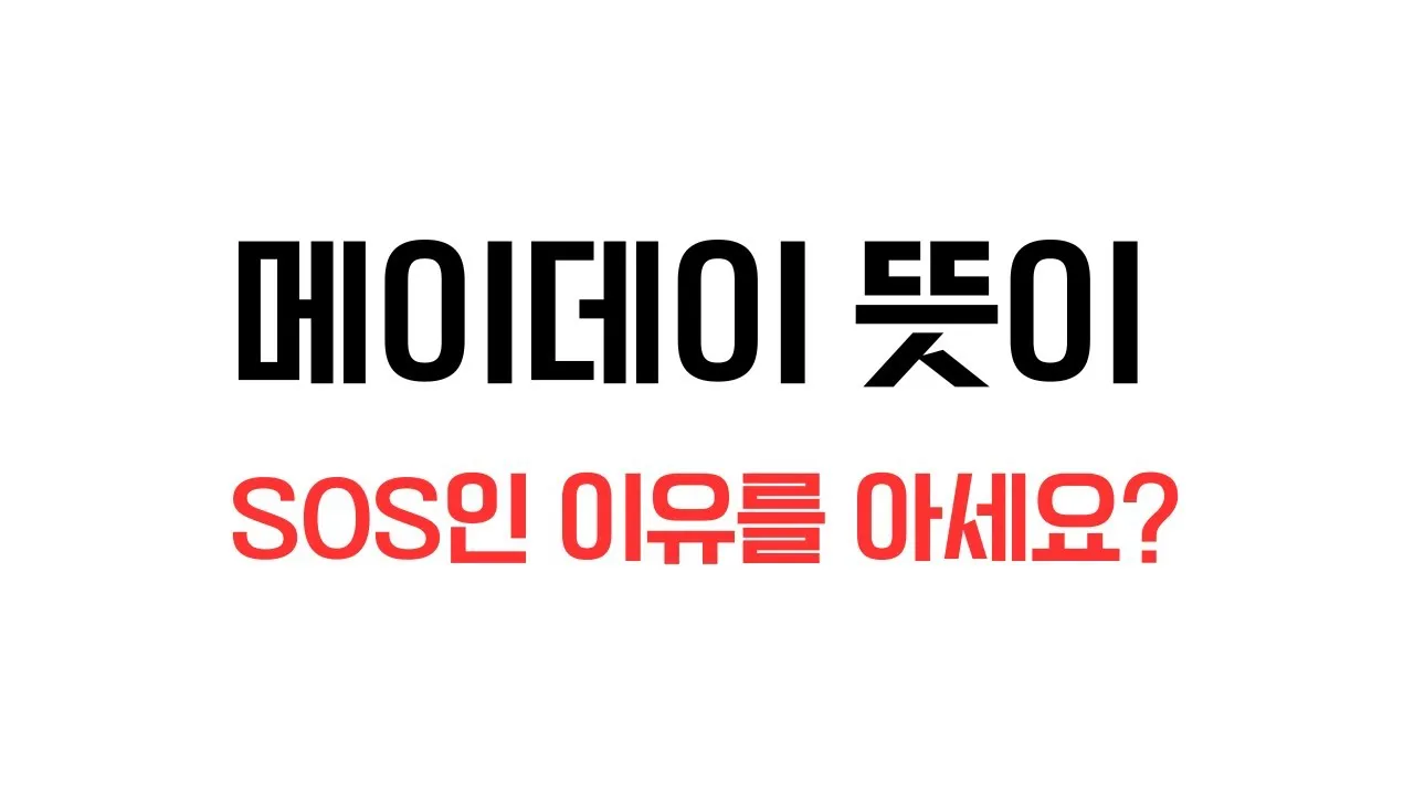 조종사 메이데이 뜻 메이데이란 메이데이 선언_7