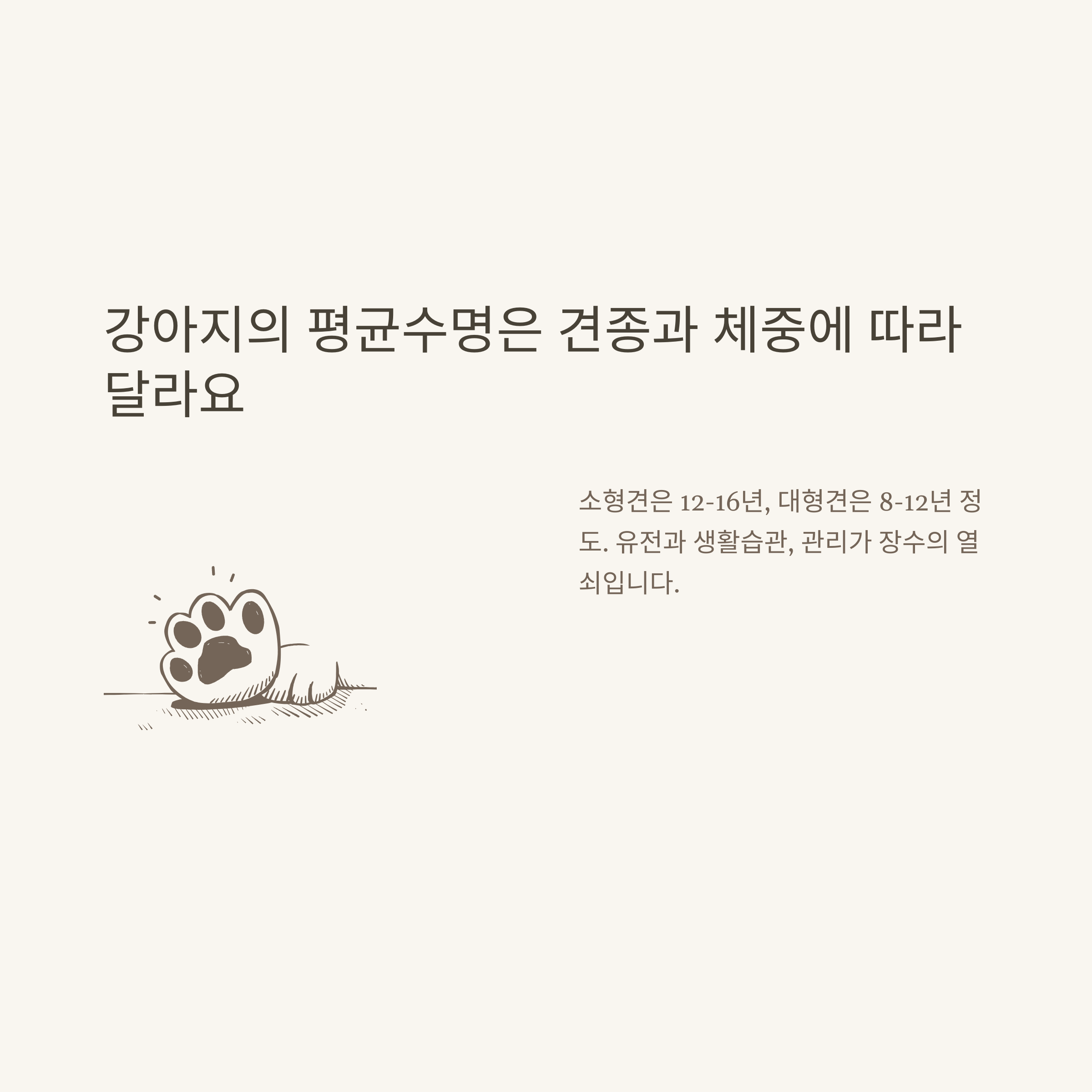 평균수명, 대한민국&middot;남자&middot;여자&middot;강아지&middot;고양이&middot;조선시대까지 확실하게 정리6