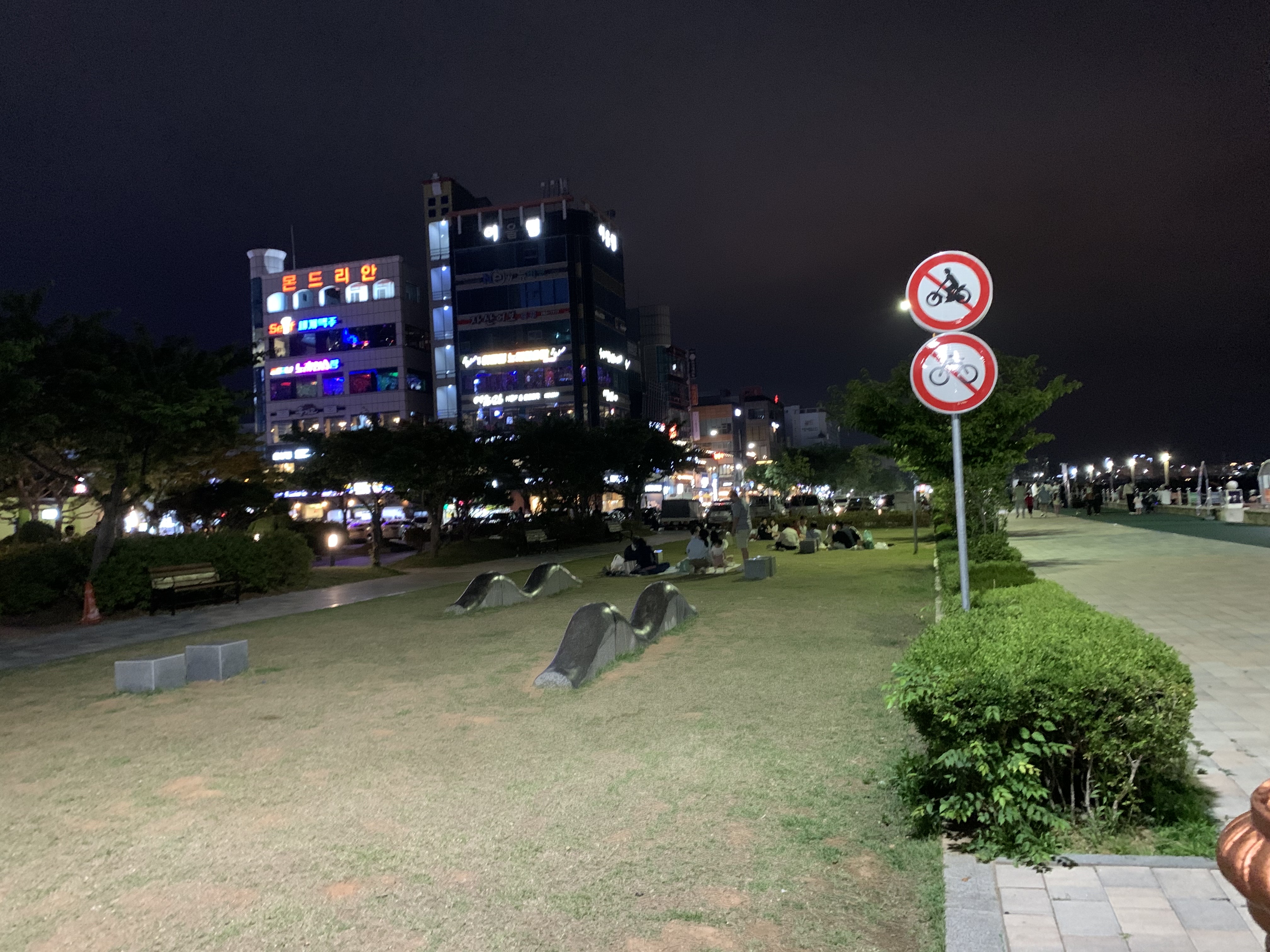 평화_광장_잔디밭