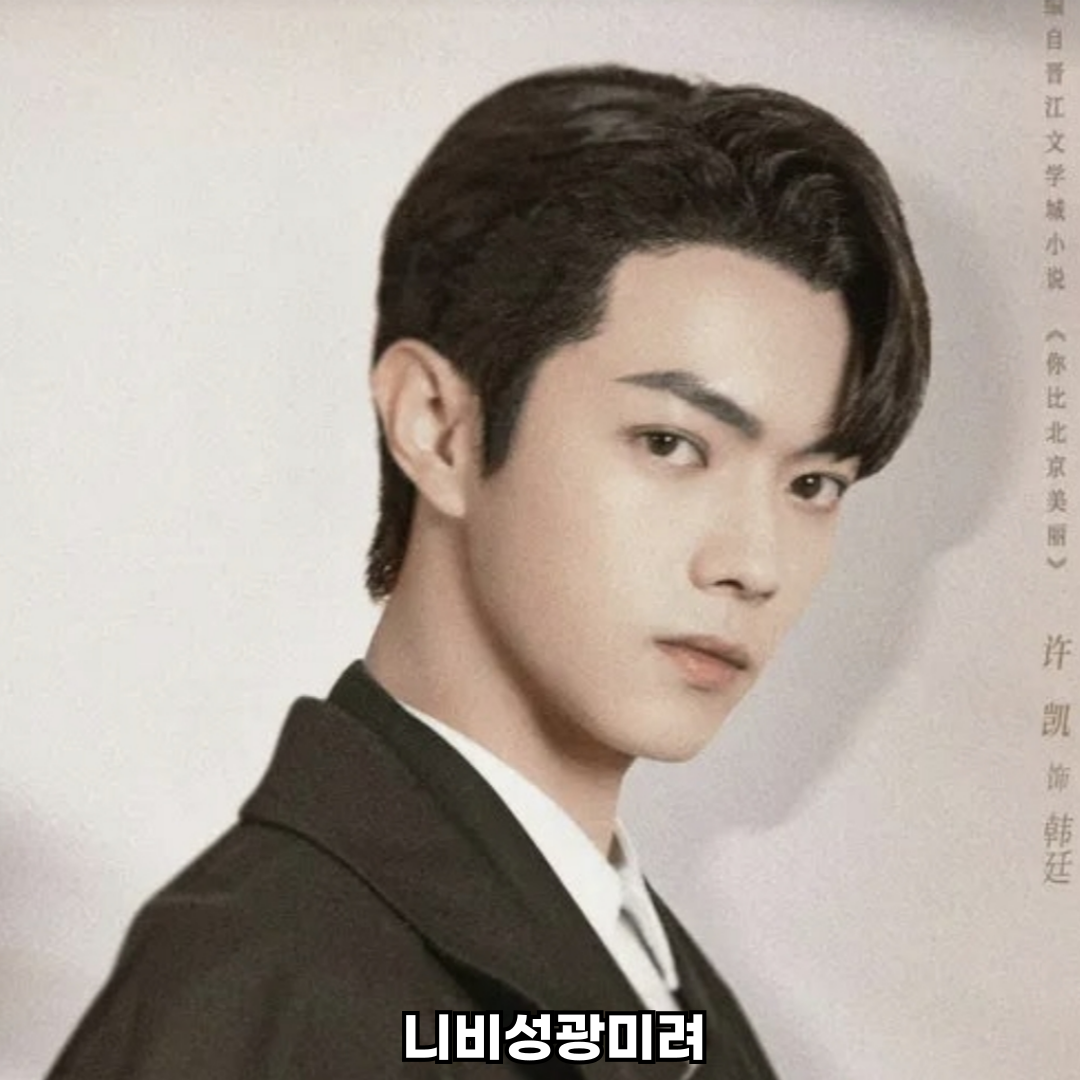 니비성광미려 중드 로맨스