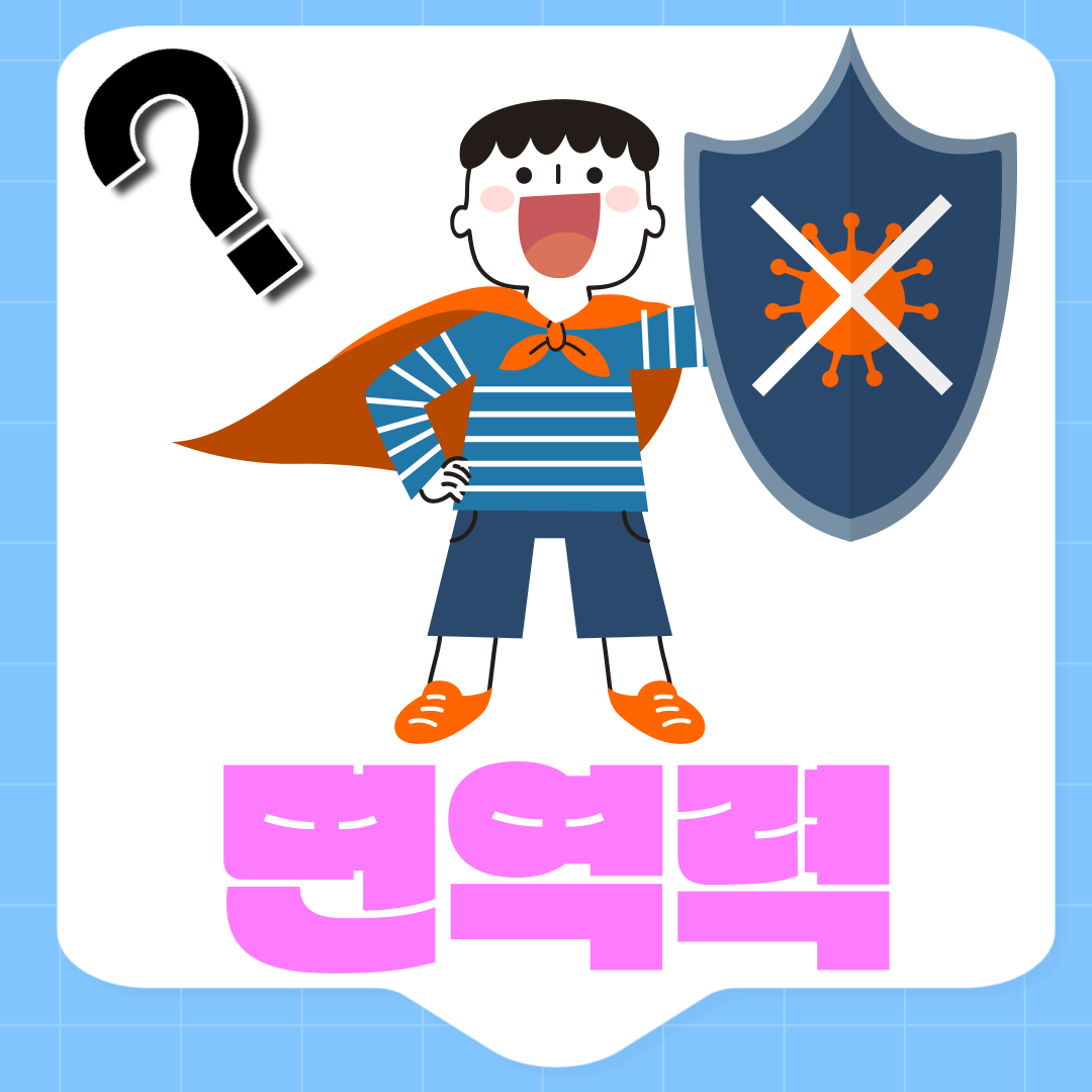겨울철 면역력