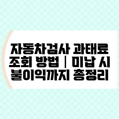 자동차검사 과태료 조회 방법│미납 시 불이익까지 총정리