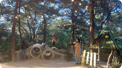 벽초지수목원 가을국화축제 모험의공간 이미지/ 출처: 벽초지수목원 홈페이지 