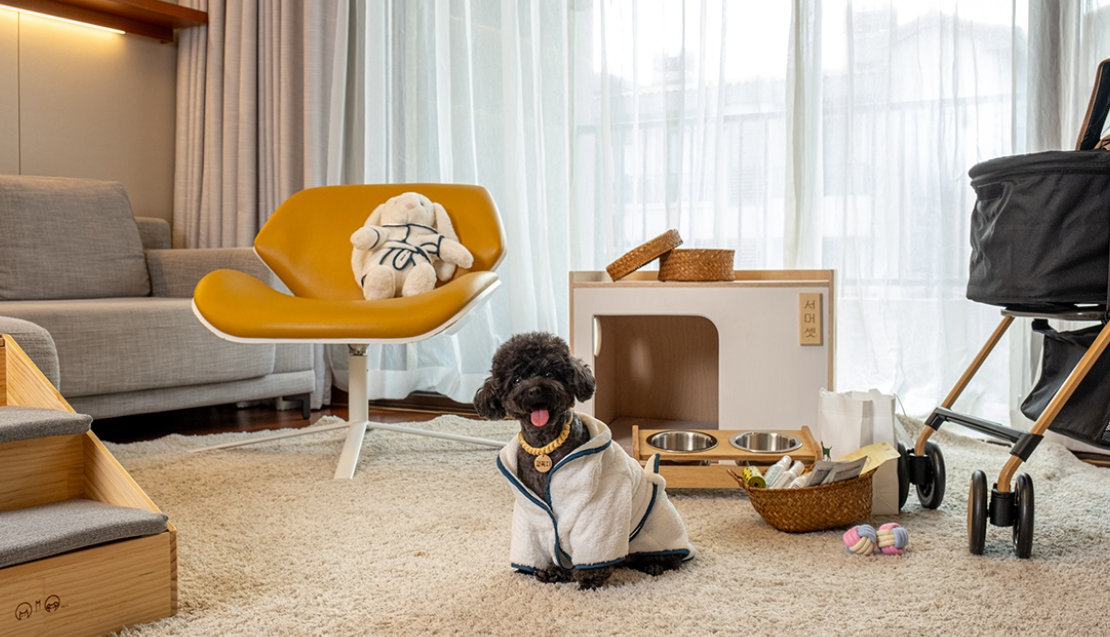 펫 프렌들리 룸 제주 신화 호텔 모습