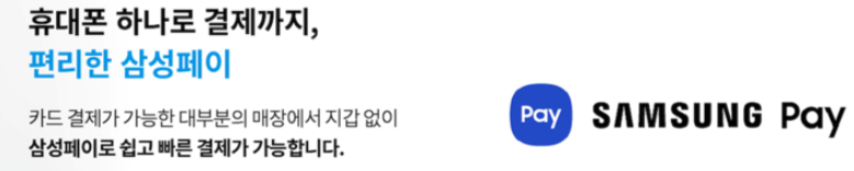 삼성 페이