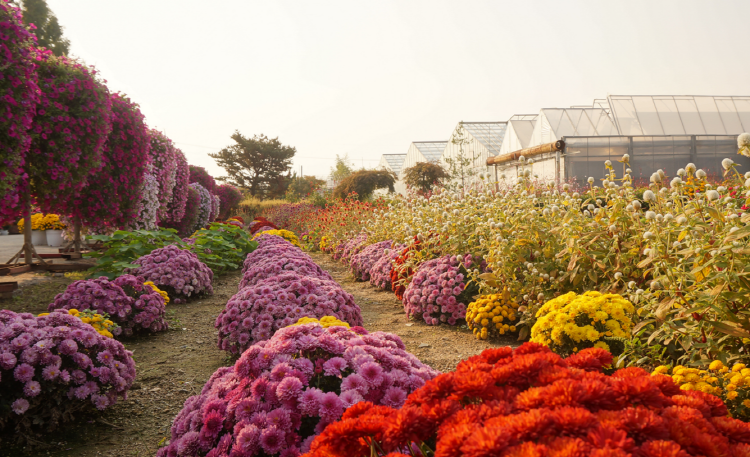 아산 세계꽃식물원