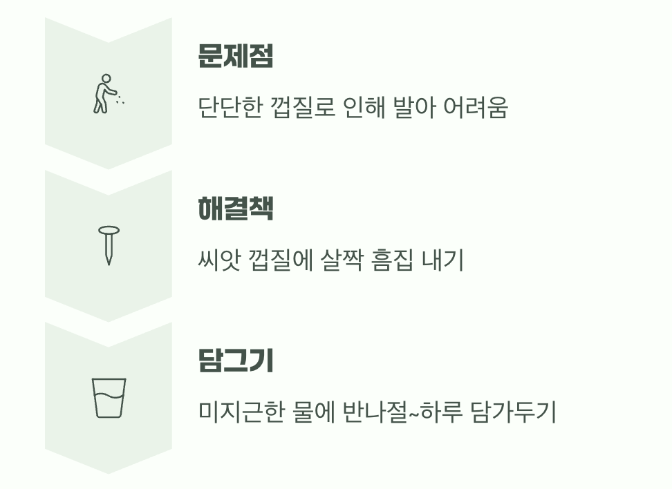 단단한 껍질을 깨우는 첫 단계