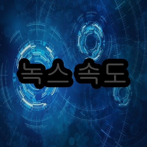 녹스 최적화