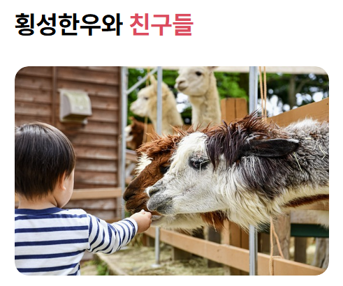 2024 횡성 한우 축제 일정